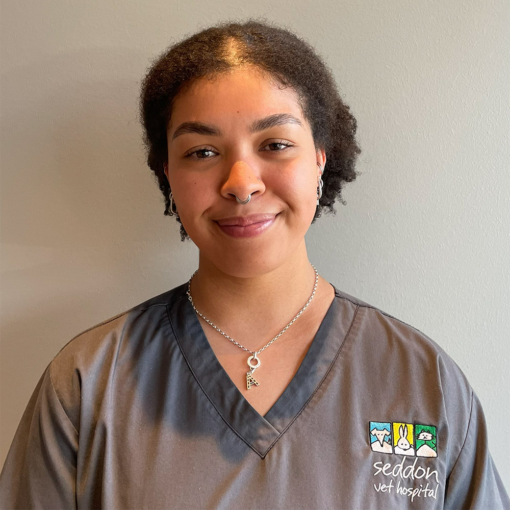 Seddon Vet - Meet Our Team - Amelia