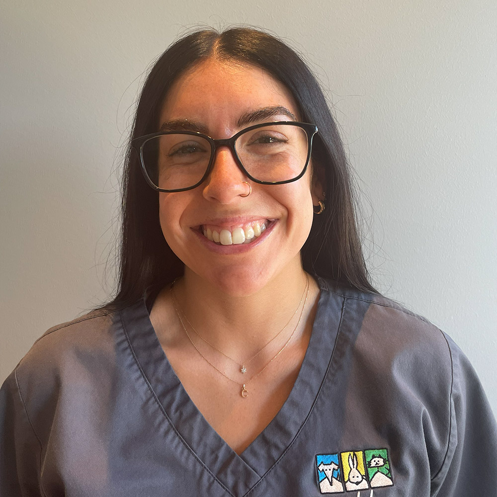 Seddon Vet - Meet Our Team - Caitlin