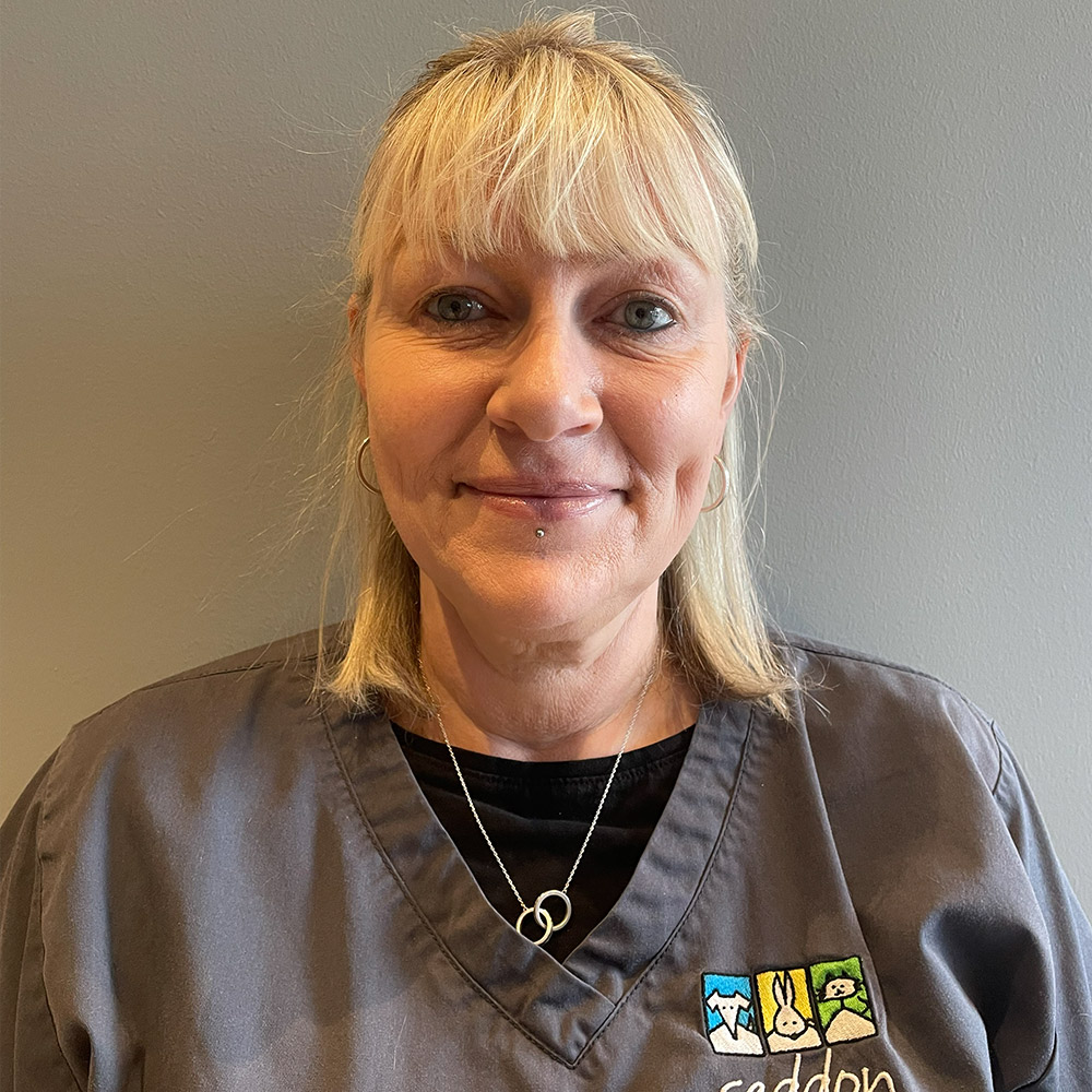Seddon Vet - Meet Our Team - Gabby
