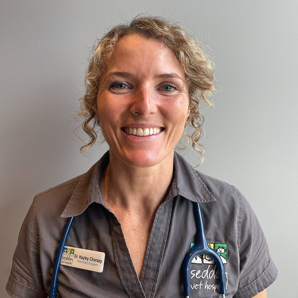 Seddon Vet - Meet Our Team - Hayley