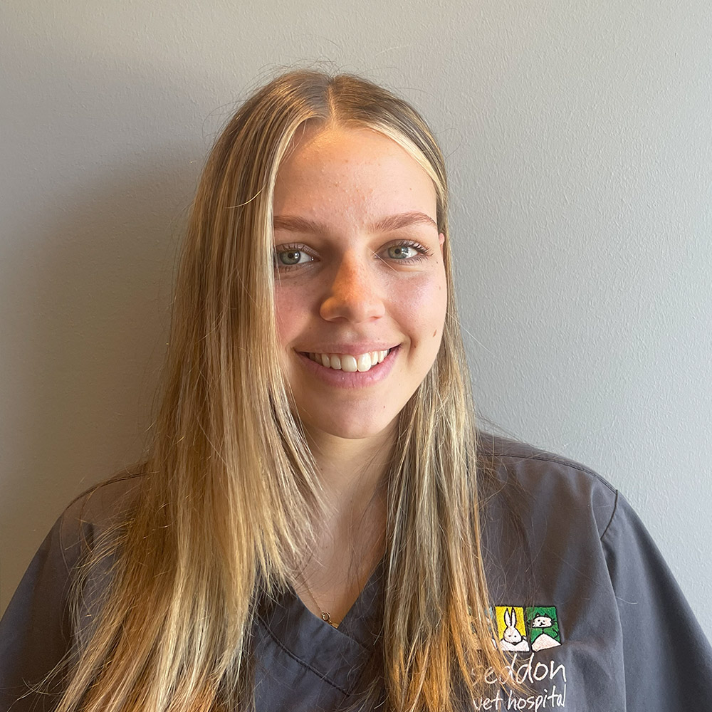 Seddon Vet - Meet Our Team - Liv