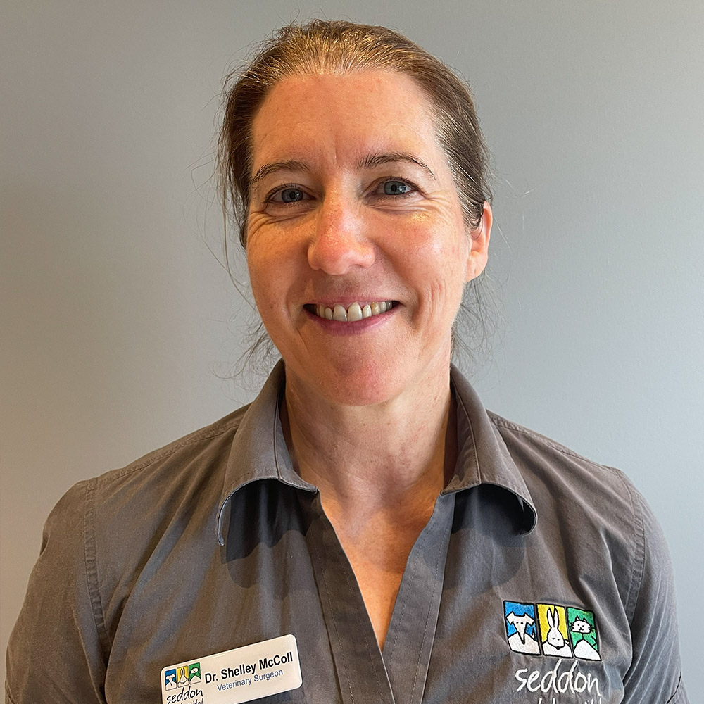 Seddon Vet - Meet Our Team - Shelley